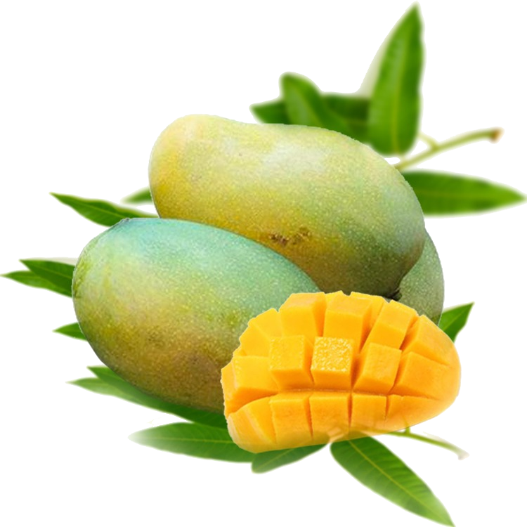 বাগানবাড়ি 