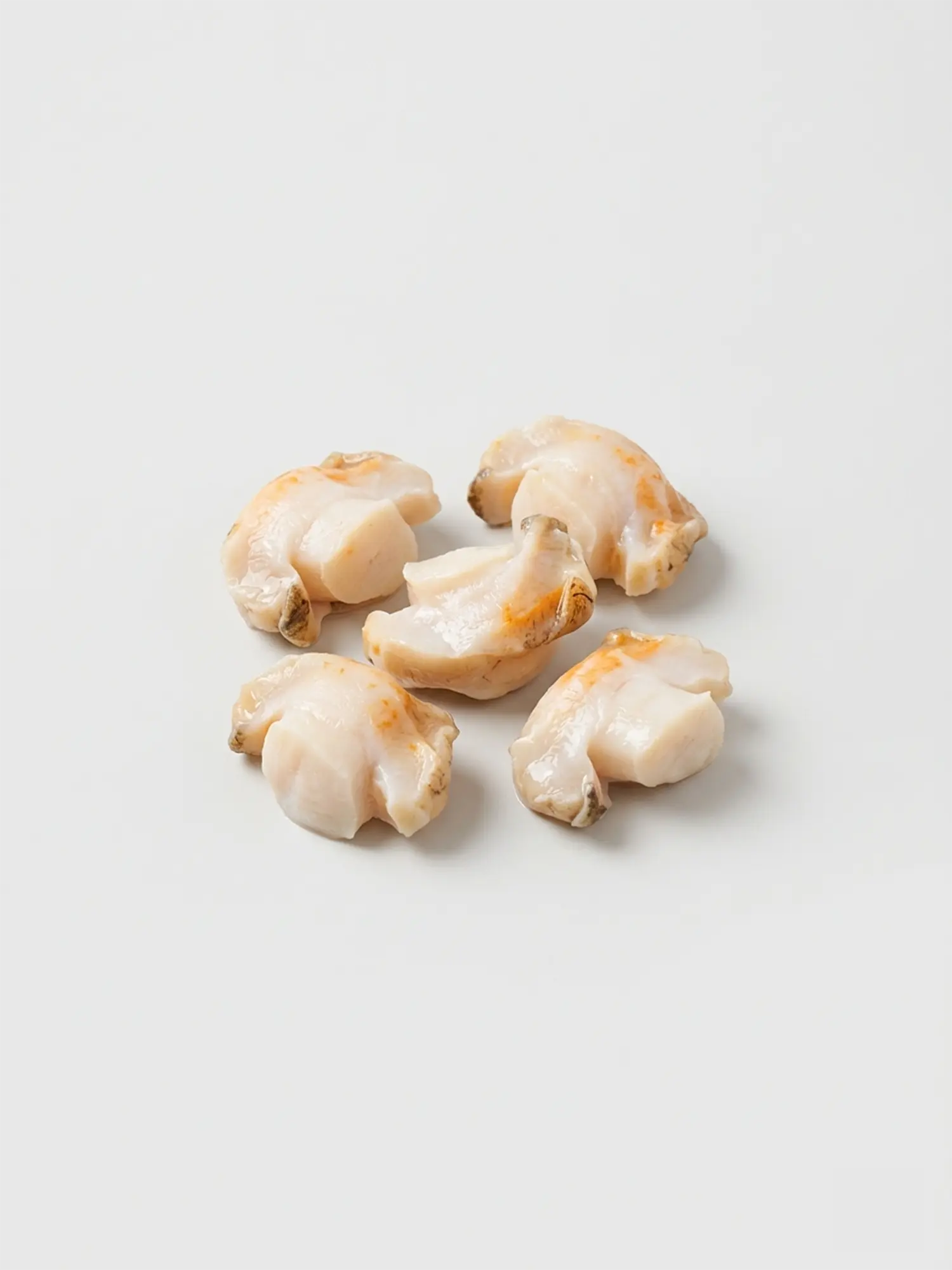 Blood Cockles (15-20 pcs per kg) – ব্লাড ককলস (প্রতি কেজিতে ১৫-২০ পিস)