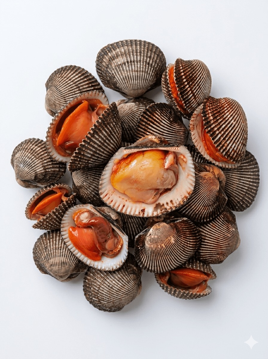 Blood Cockles (15-20 pcs per kg) – ব্লাড ককলস (প্রতি কেজিতে ১৫-২০ পিস)
