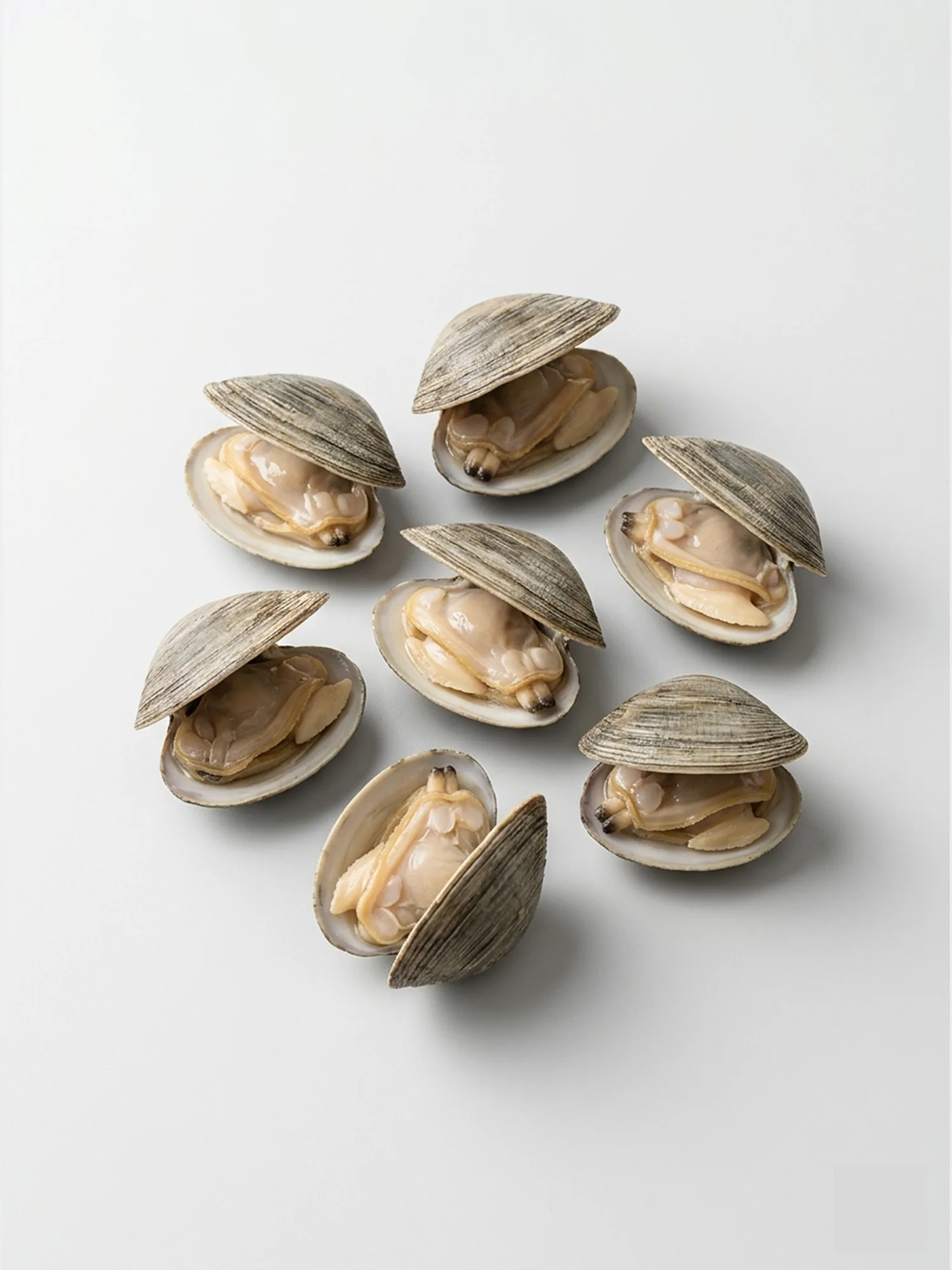 Fresh Clams (15-20 pcs per kg) – ফ্রেশ ক্ল্যামস (প্রতি কেজি ১৫-২০ পিস)