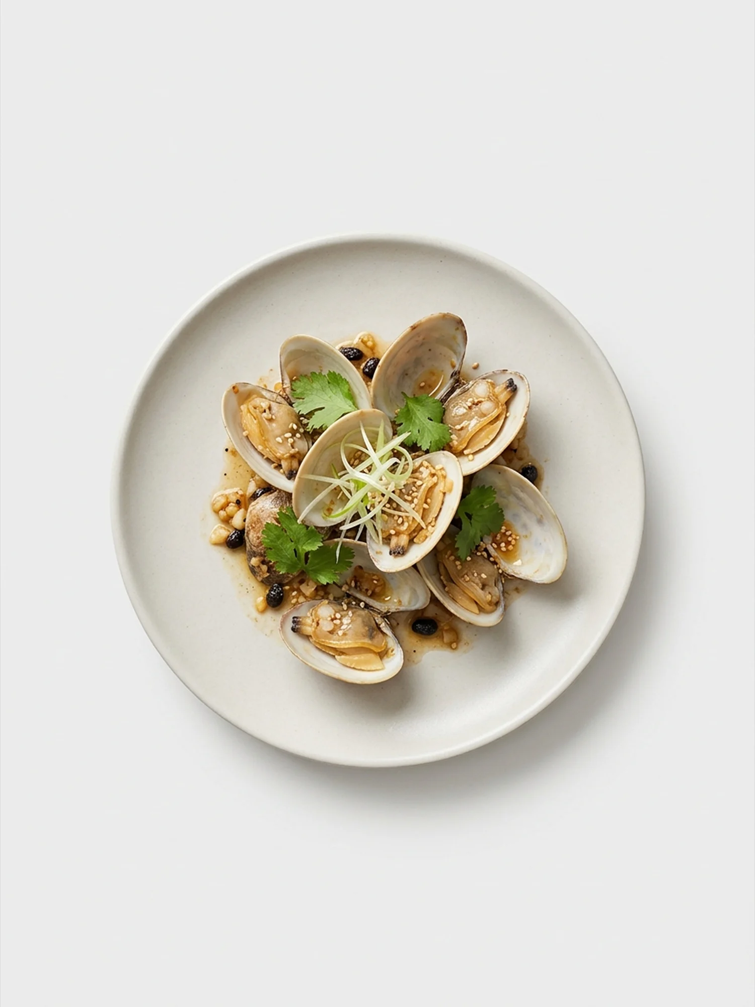 Fresh Clams (15-20 pcs per kg) – ফ্রেশ ক্ল্যামস (প্রতি কেজি ১৫-২০ পিস)