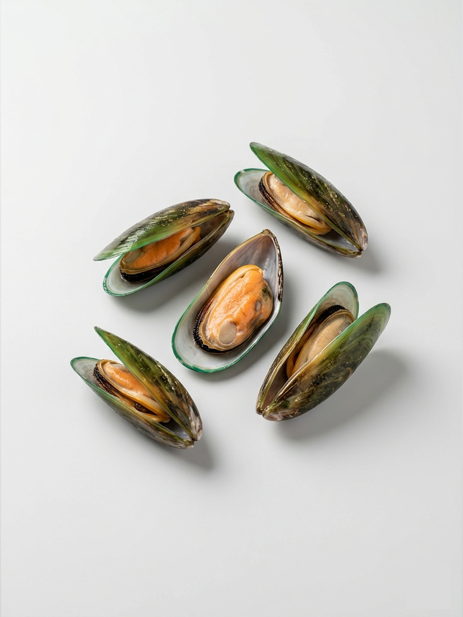 Green Mussels (20-25 pcs per kg) – গ্রিন মাশেলস (প্রতি কেজিতে ২০-২৫ পিস)