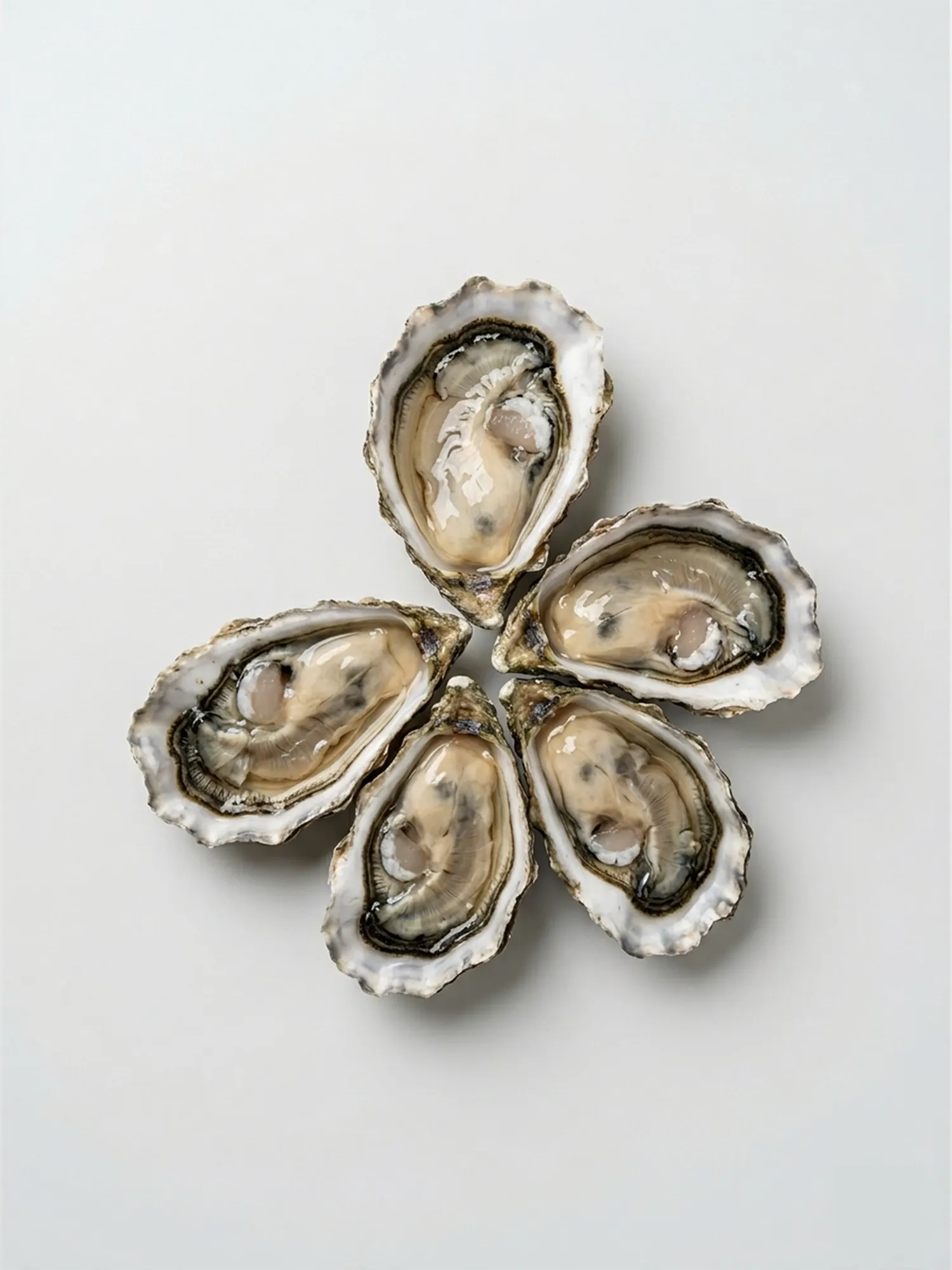 Fresh Oysters (2-5 pcs per kg) – ফ্রেশ অয়েস্টার (প্রতি কেজি ২-৫ পিস)